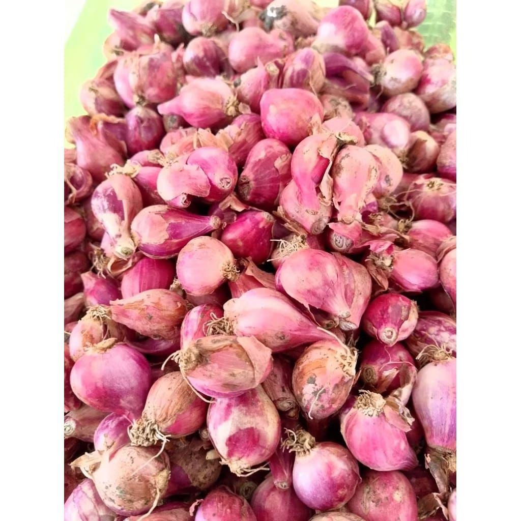 

1kg bawang merah murah, rasa gurih sedap asli dari nganjuk