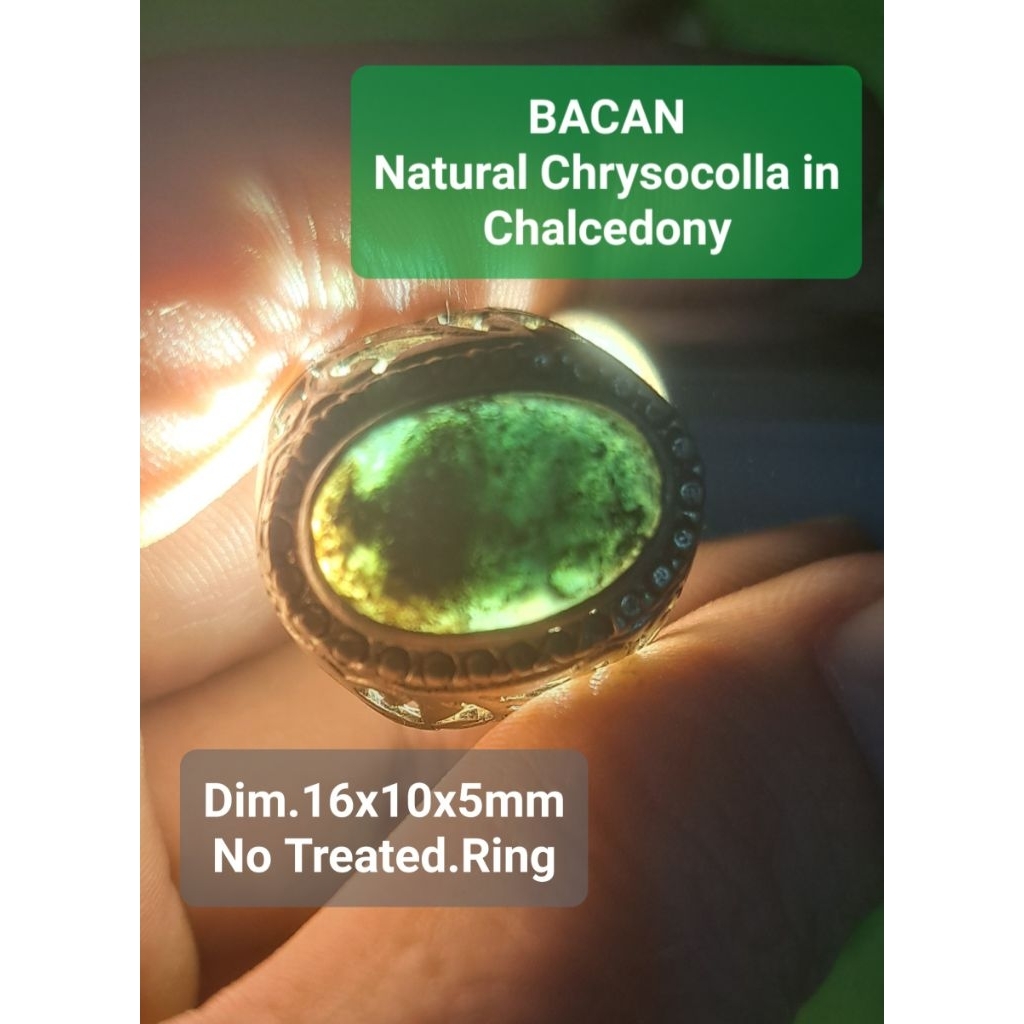 BACAN Natural Chrysocolla in Chalcedony No Treated NTE Batu Permata Alami Doko Majiko Asli 100% Moti