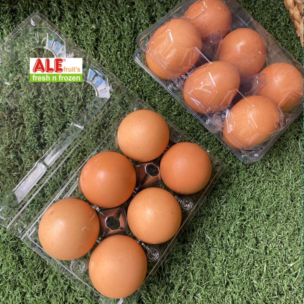 

Telur ayam , telur ayam isi 6, telur ayam segar