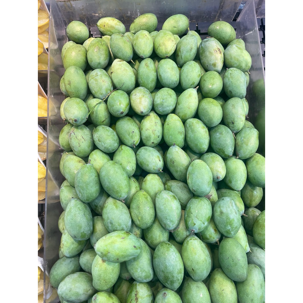 

Mangga Muda Segar 1kg - Cocok untuk Rujak, Asam Segar & Renyah