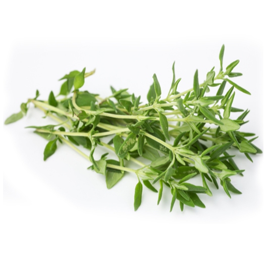 

Daun Thyme / Daun Thyme Segar / Fresh Thyme / 1 Kg
