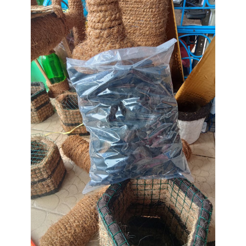 tempurung arang batok kelapa