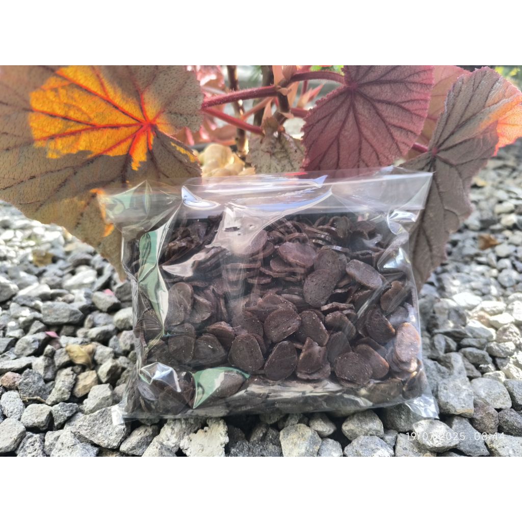 

babanggi kerupuk jengkol/kerupuk jengkol mentah 1/2 kg
