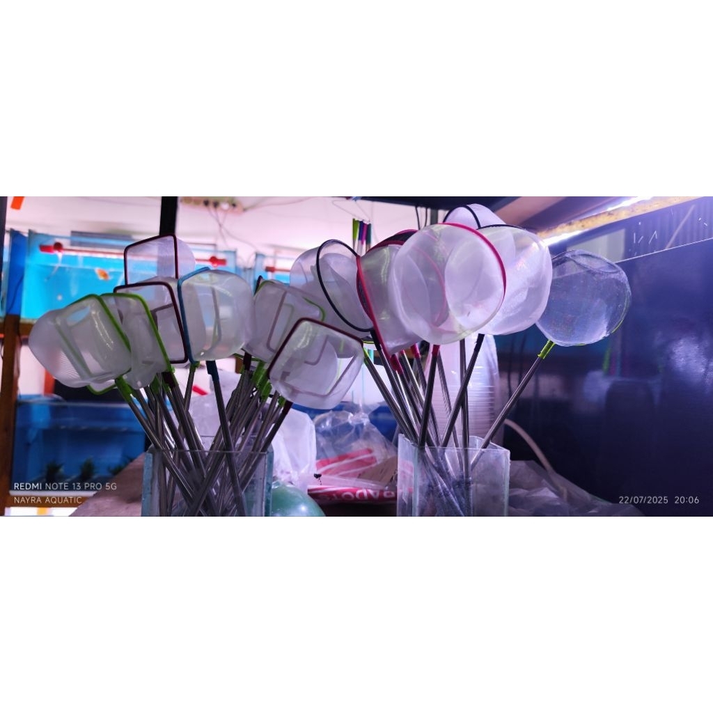 serok kecil/serok ikan cupang