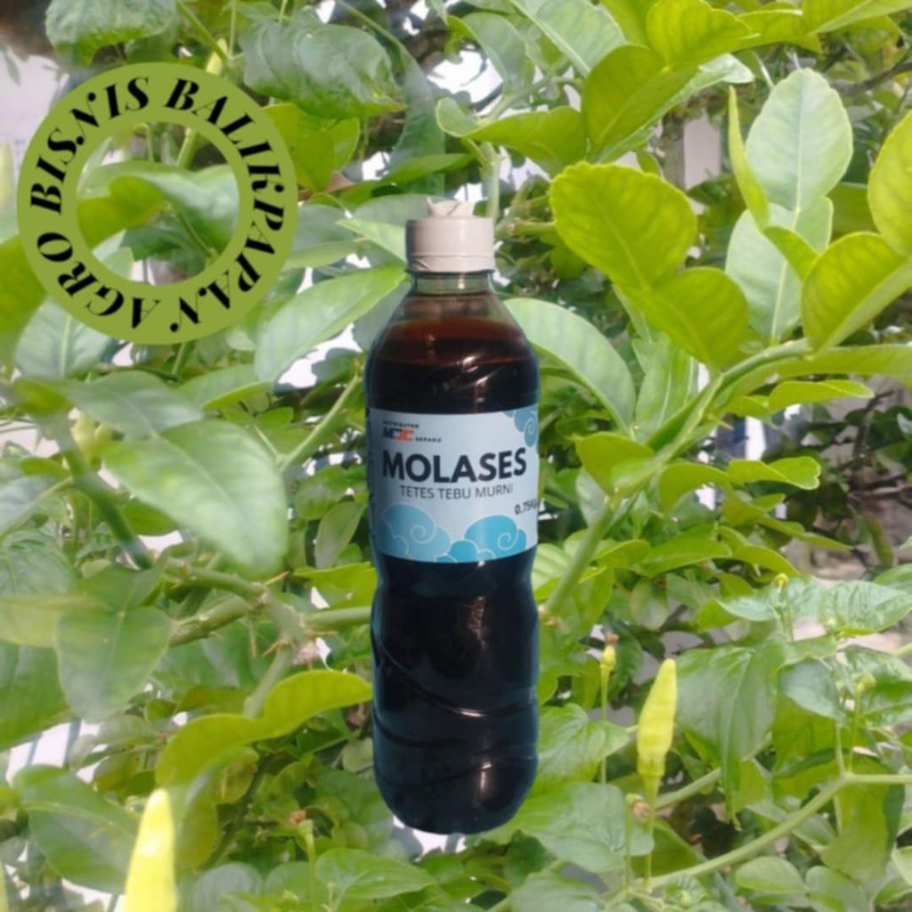 Molases Tetes Tebu