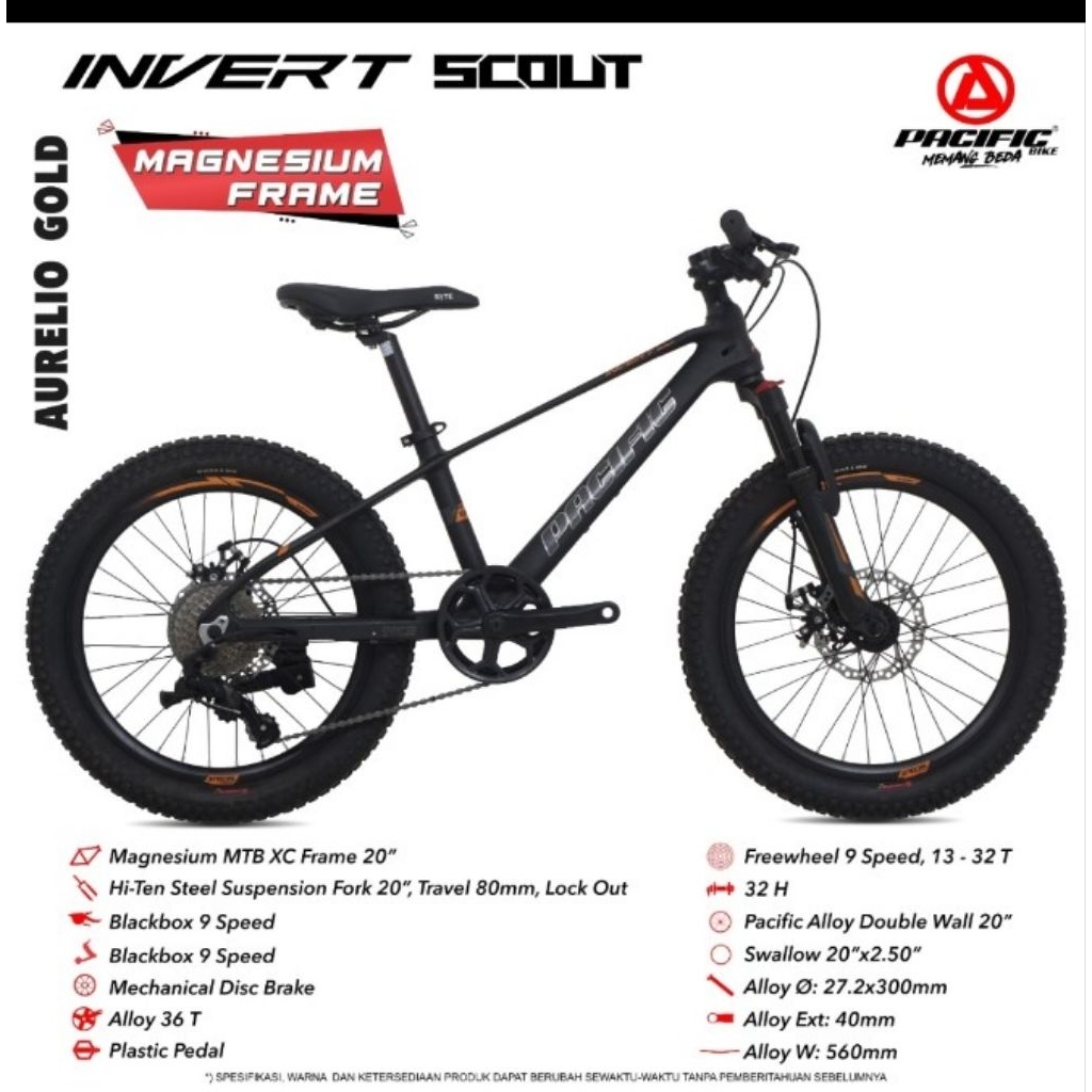 Sepeda Gunung MTB 20 Pacific Invert Scout Magnesium Disc