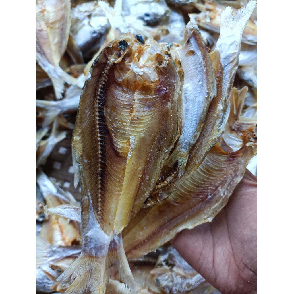 

Ikan bilis belah tawar enak gurih