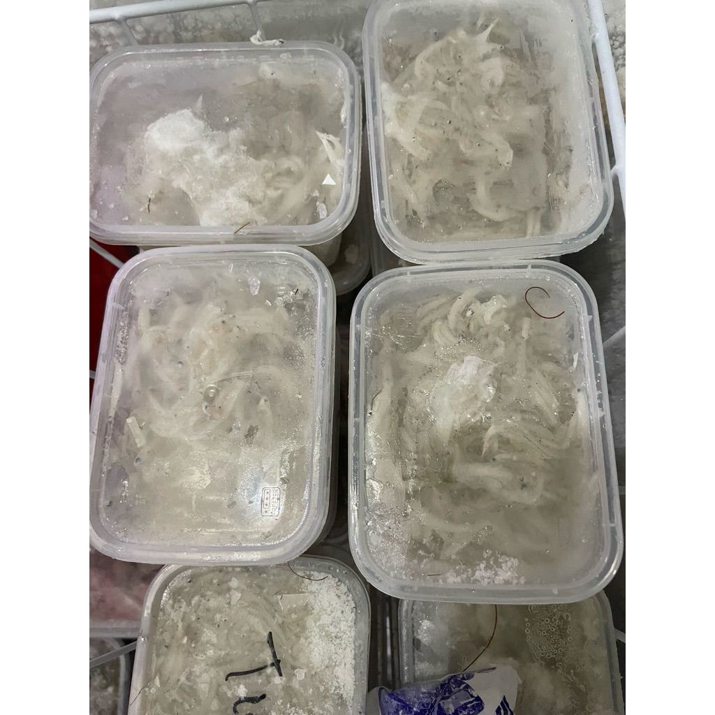 

Teri Nasi ASIN Premium Fresh Frozen Instan