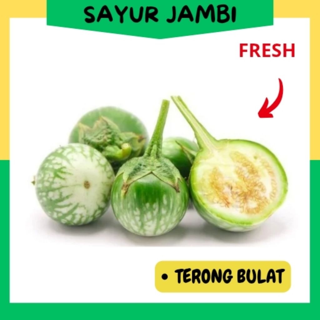 

INSTAN Terong Bulat fresh~sayurjambi