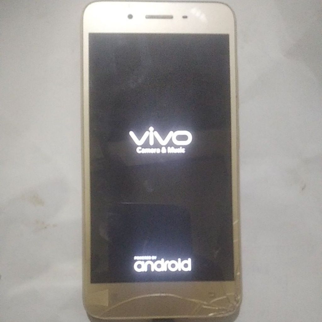 Vivo Y53 Minus