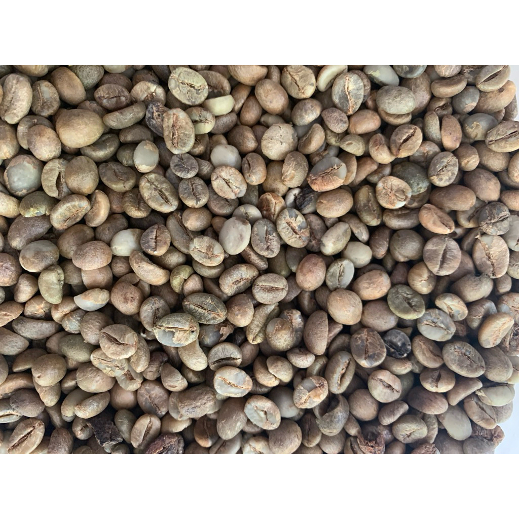 

biji Kopi Robusta Original 1 Kg Sumatra Barat/ Biji kopi kering