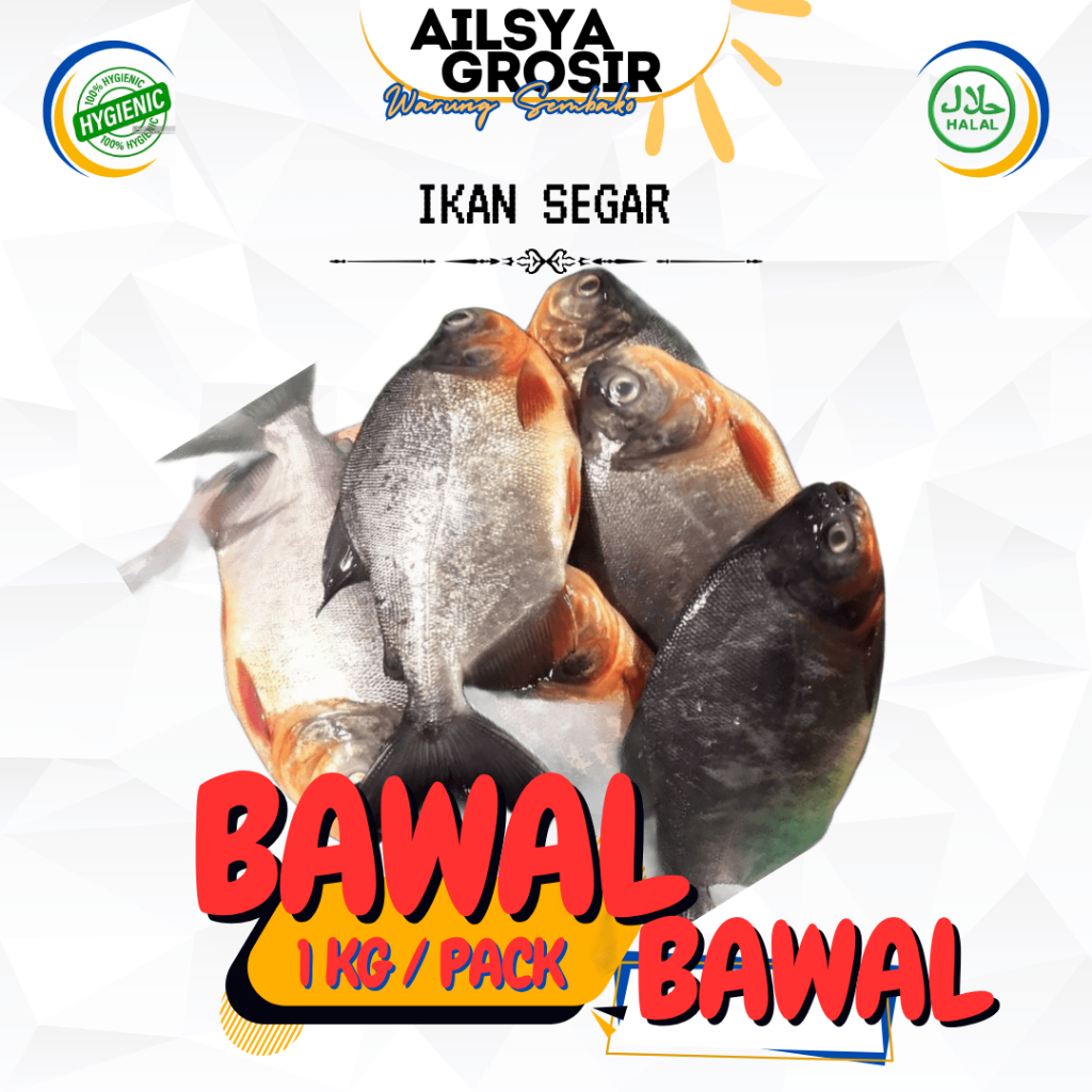 

IKAN BAWAL TAWAR LAUT SEGAR - FRESH 1 KG