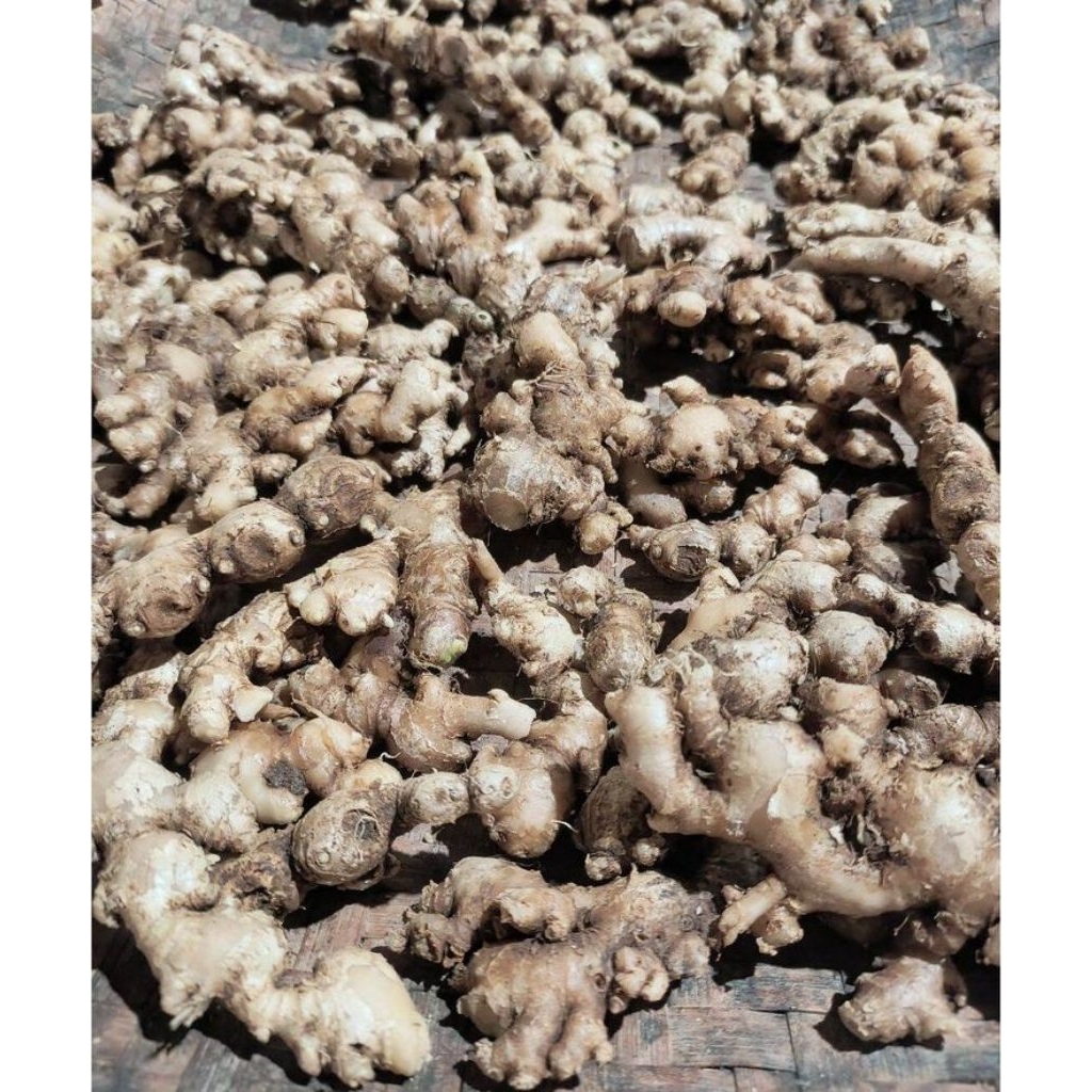 

jahe mprit/jahe kecil sudah beresih siap kirim berat 500 gram