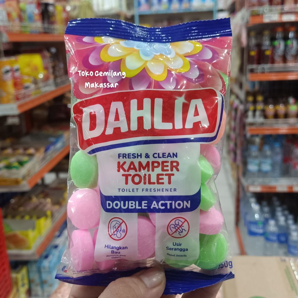 Dahlia Kapur Barus Kamper Warna Warni