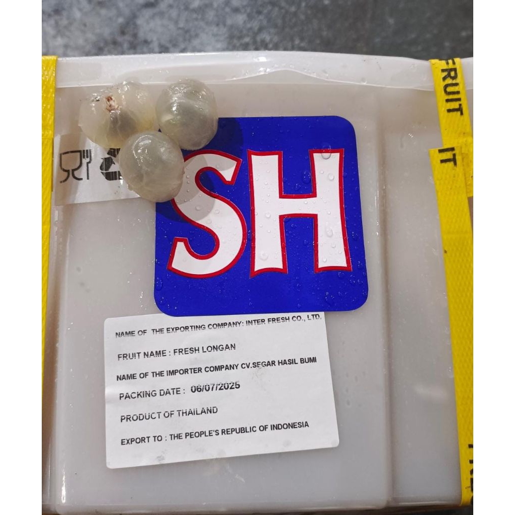 

Kelengkeng Bangkok Stiker Biru SH -+1kg