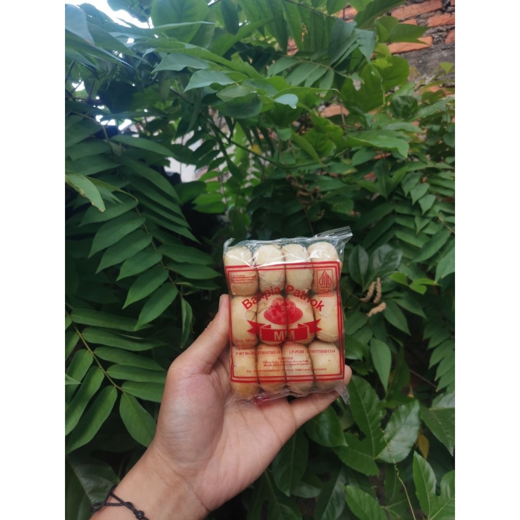 

Bakpia Pathok isi 12 pcs Isi Kacang Ijo
