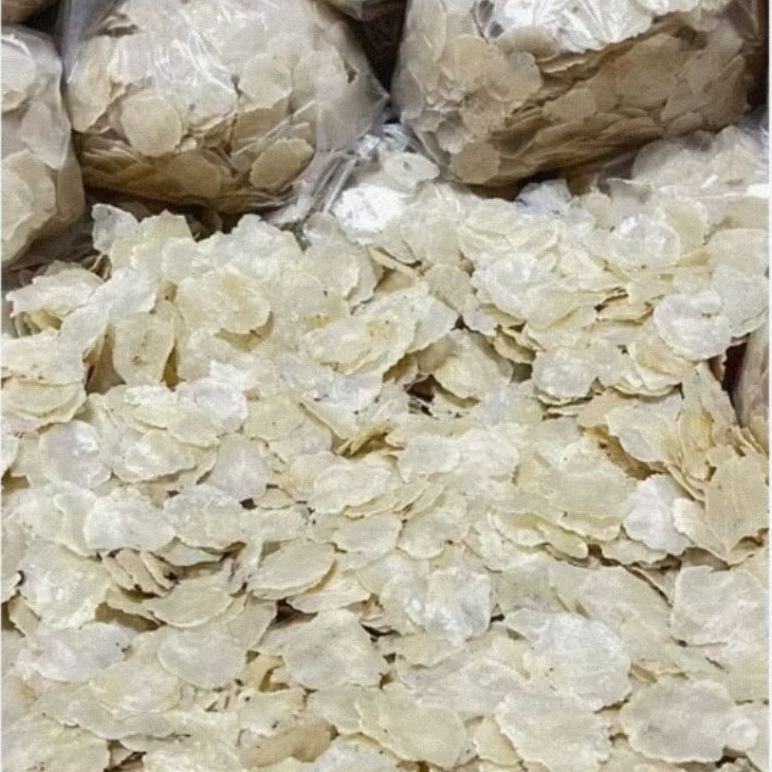 

EMPING MELINJO EMPING BUAH MELINIO KRIPIK MELINJO KERUPUK MELINJO PROMO MLINJO MALINJO TANGKIL