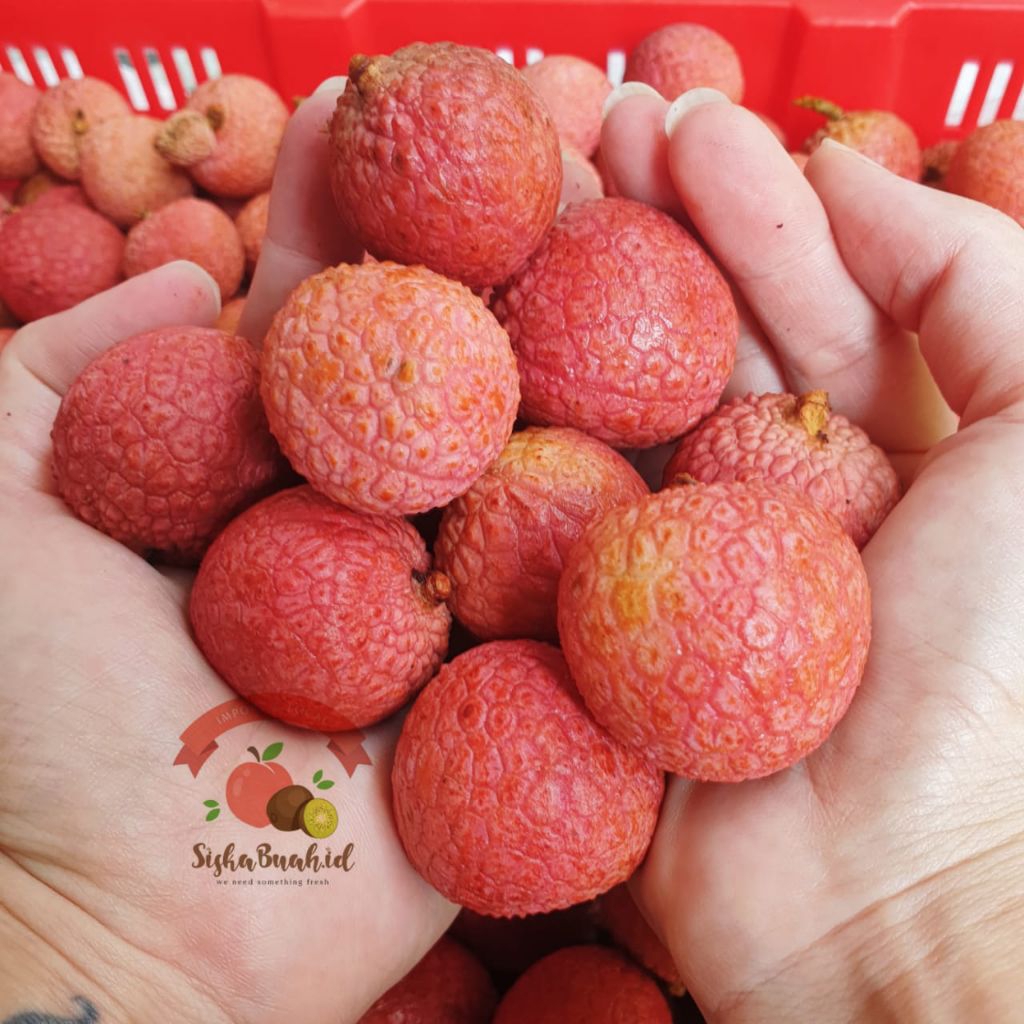 

LECI MERAH | LECI HIJAU MADU | LECI MANIS | LYCHEE IMPORT FRESH