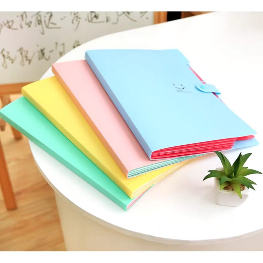 

File Map Organizer A4 5 sekat