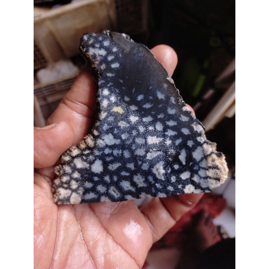 batu bahan natural teratai lipan hitam