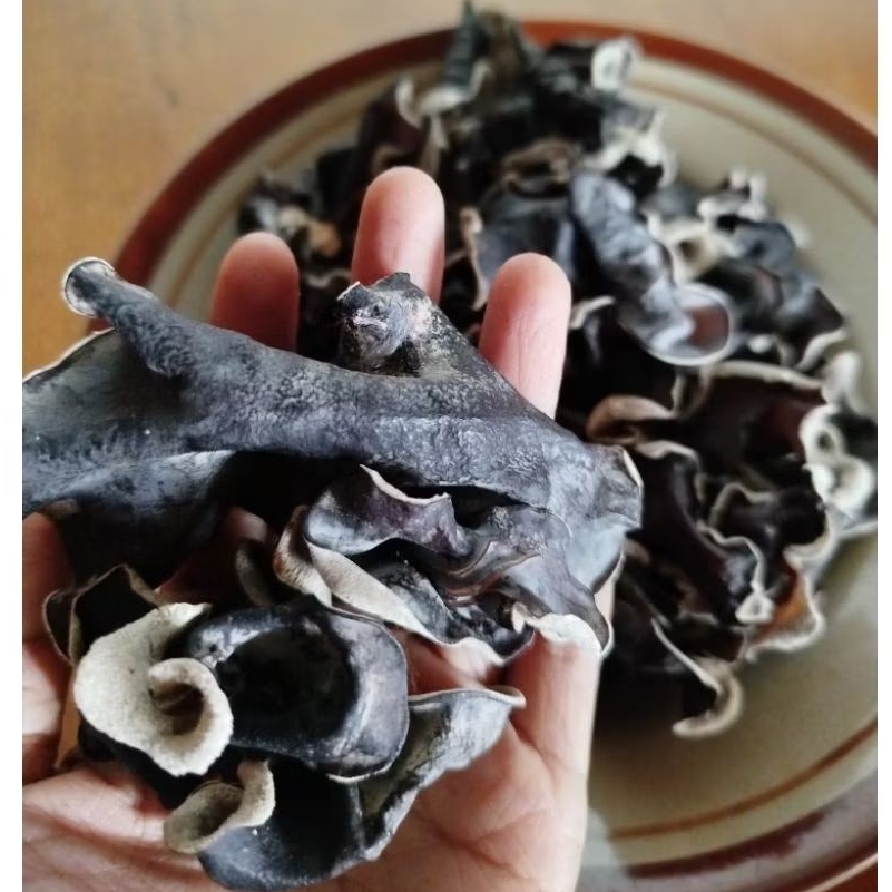 

jamur kuping super kualitas no 1 grade A