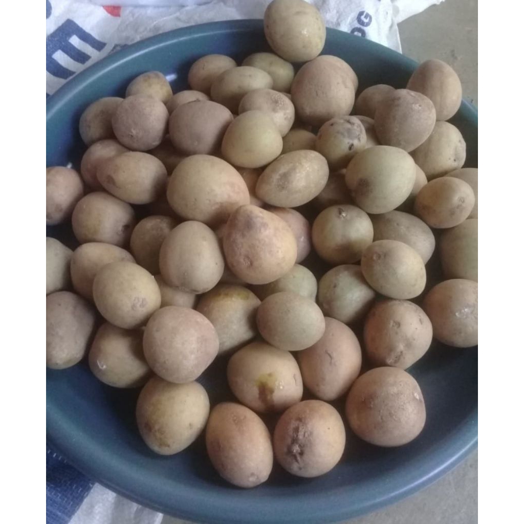 

Buah Sawo Fresh 1kg