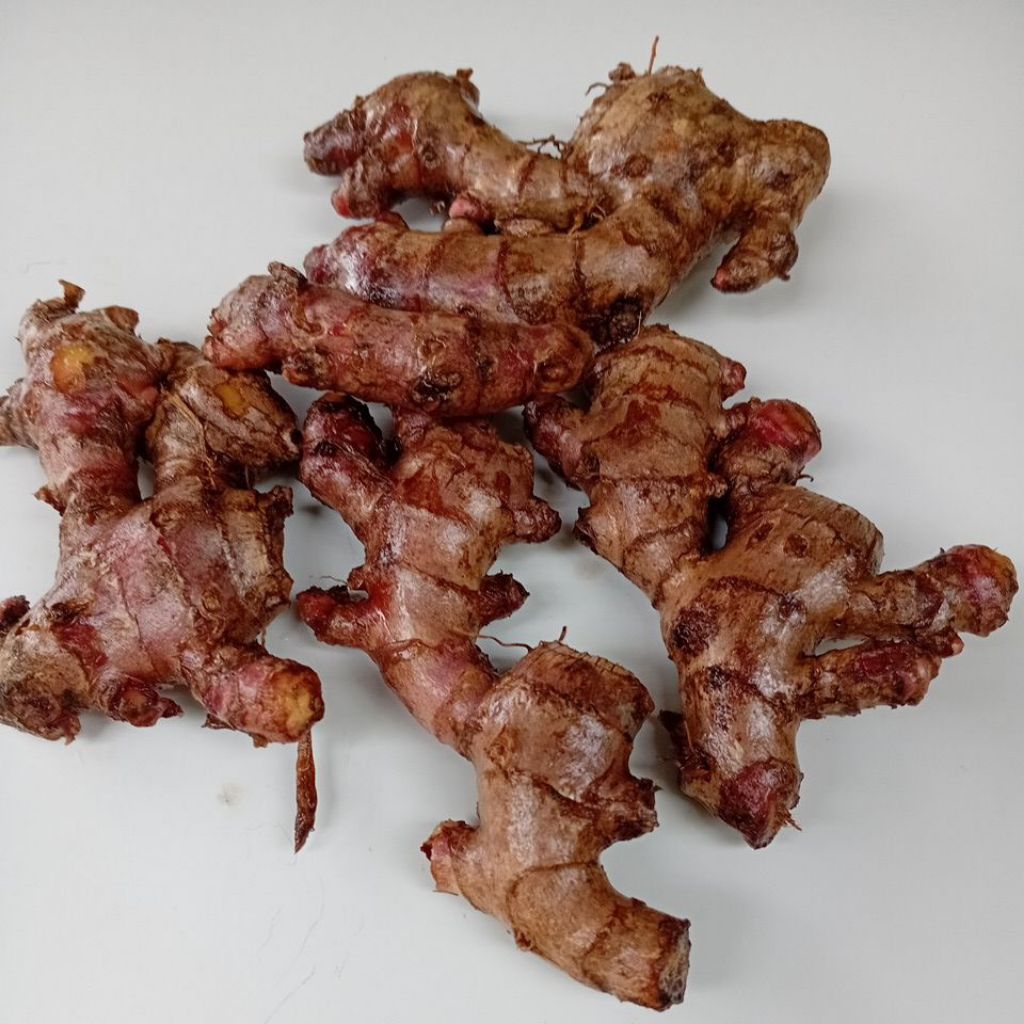 

Jahe Merah Fresh Petik dari kebun langsung