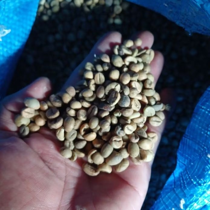 

Biji Kopi Greenbean Java Robusta Tempur Jepara Grade Asalan