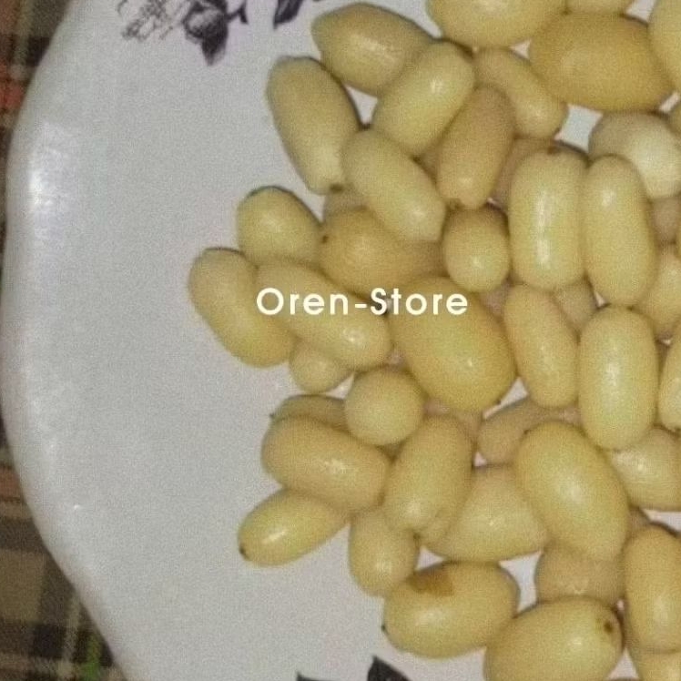 BIJI MELINJO KUPAS BIJI MELINJO SANGRAI BIJI BUAH MELINJO MALINJO MLINJO