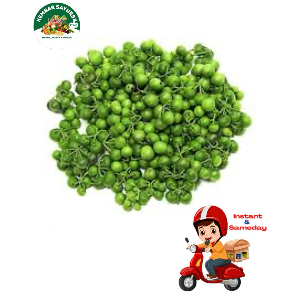 

Lencak Segar - kembarsayur88