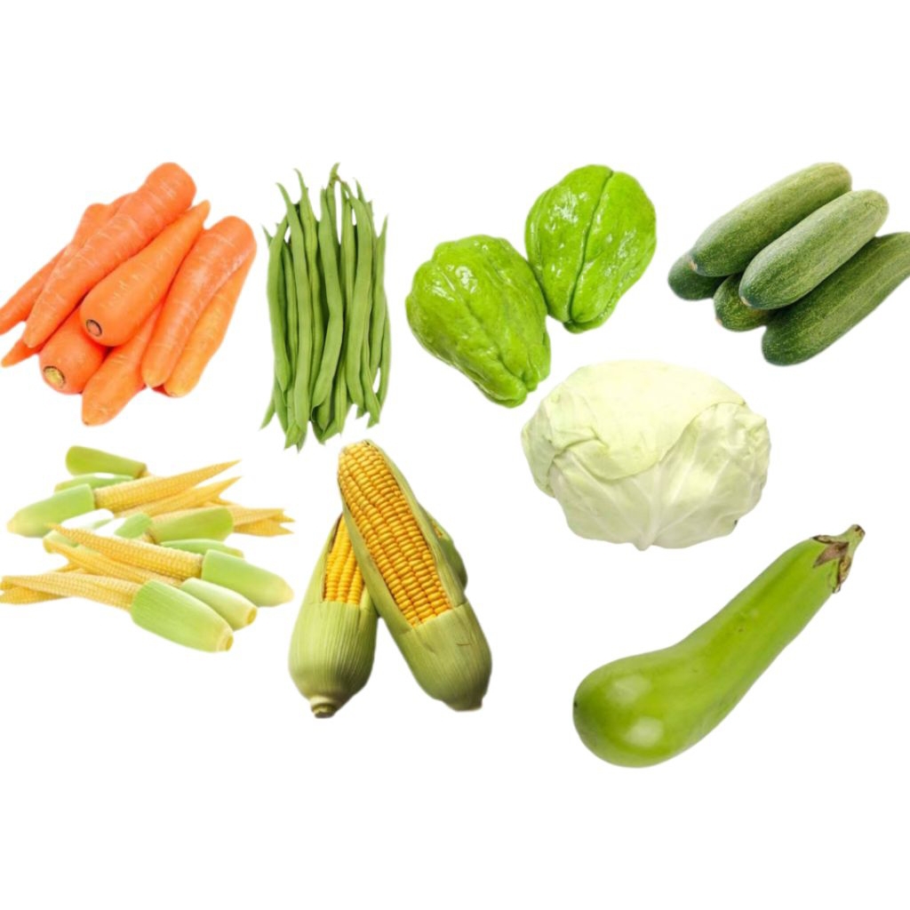 

WORTEL BUNCIS JAGUNG TERONG TIMUN LABU 500GR