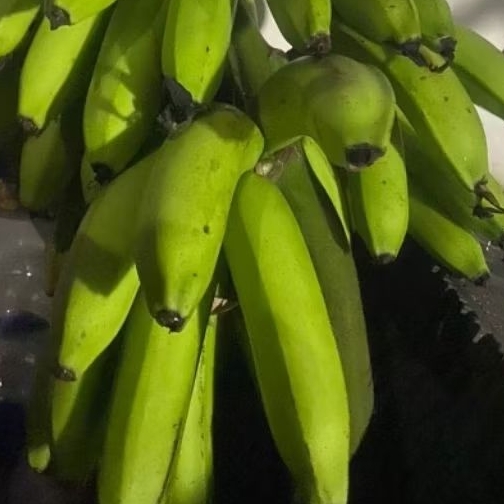 

Buah Pisang Mentah PPR Rom Pisang Bangkaulu