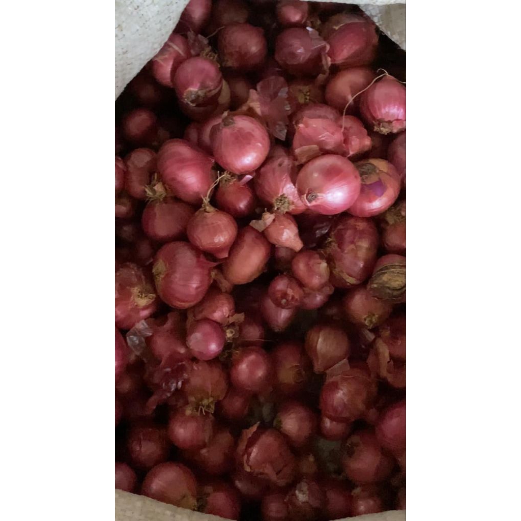 

Bawang merah