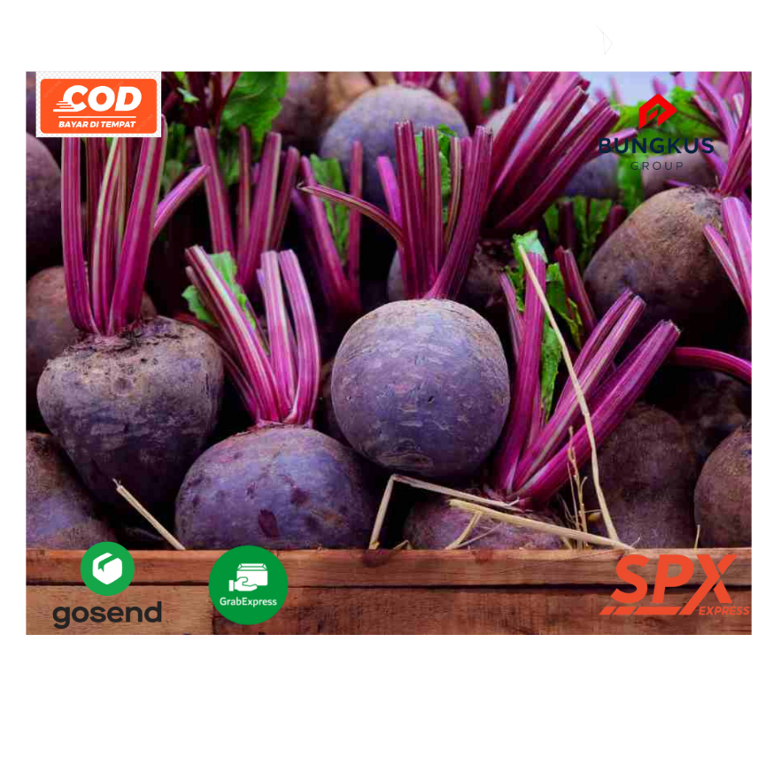 

Buah Bit Merah BeetRoot Bit Merah Ubi Baik Untuk Penderita Tumor atau Kanker