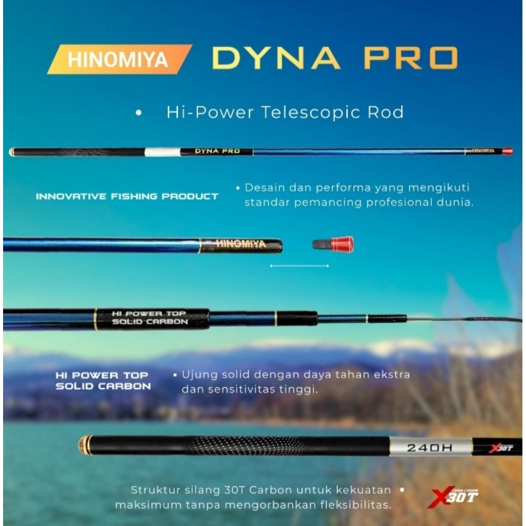 hinomiya dyna pro