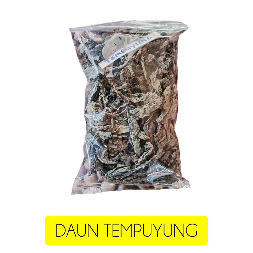 

Daun tempuyung - herbal daun tempuyung - wedang daun tempuyung - daun tempuyung ecer 100 gr