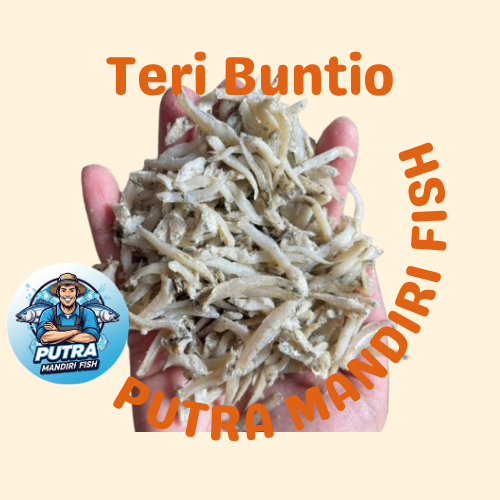 

Ikan Asin Teri Buntio 250gr