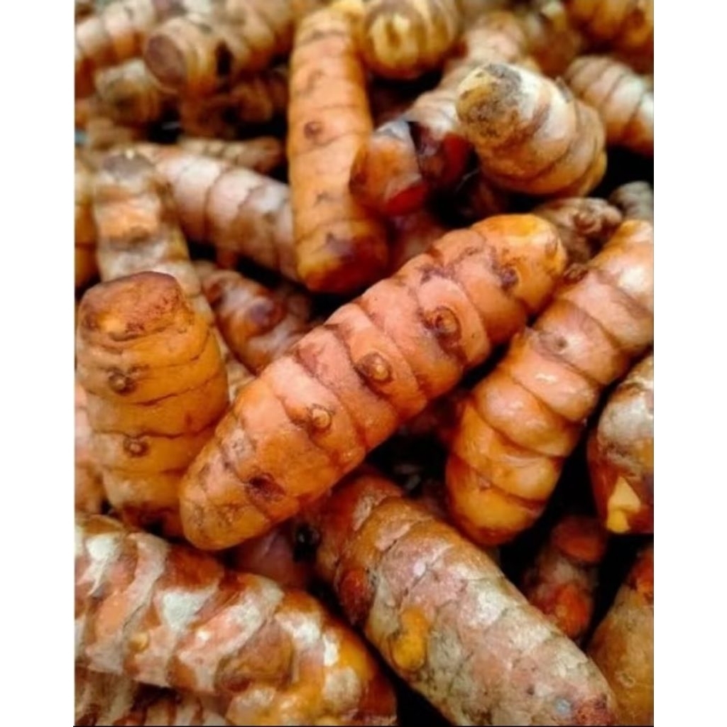 

KUNYIT KUNIR KUNING PER 1KG