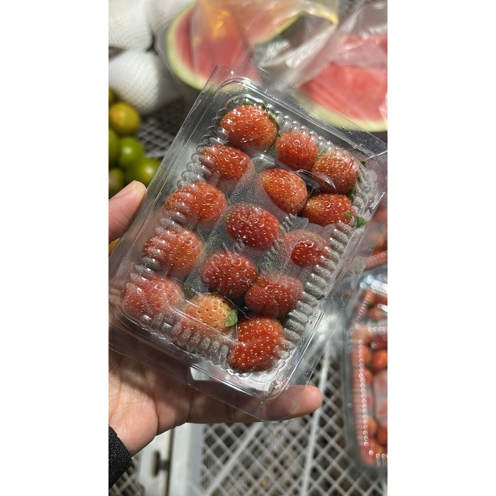 

PESAN H-1 Strawberry - sayur fresh solo