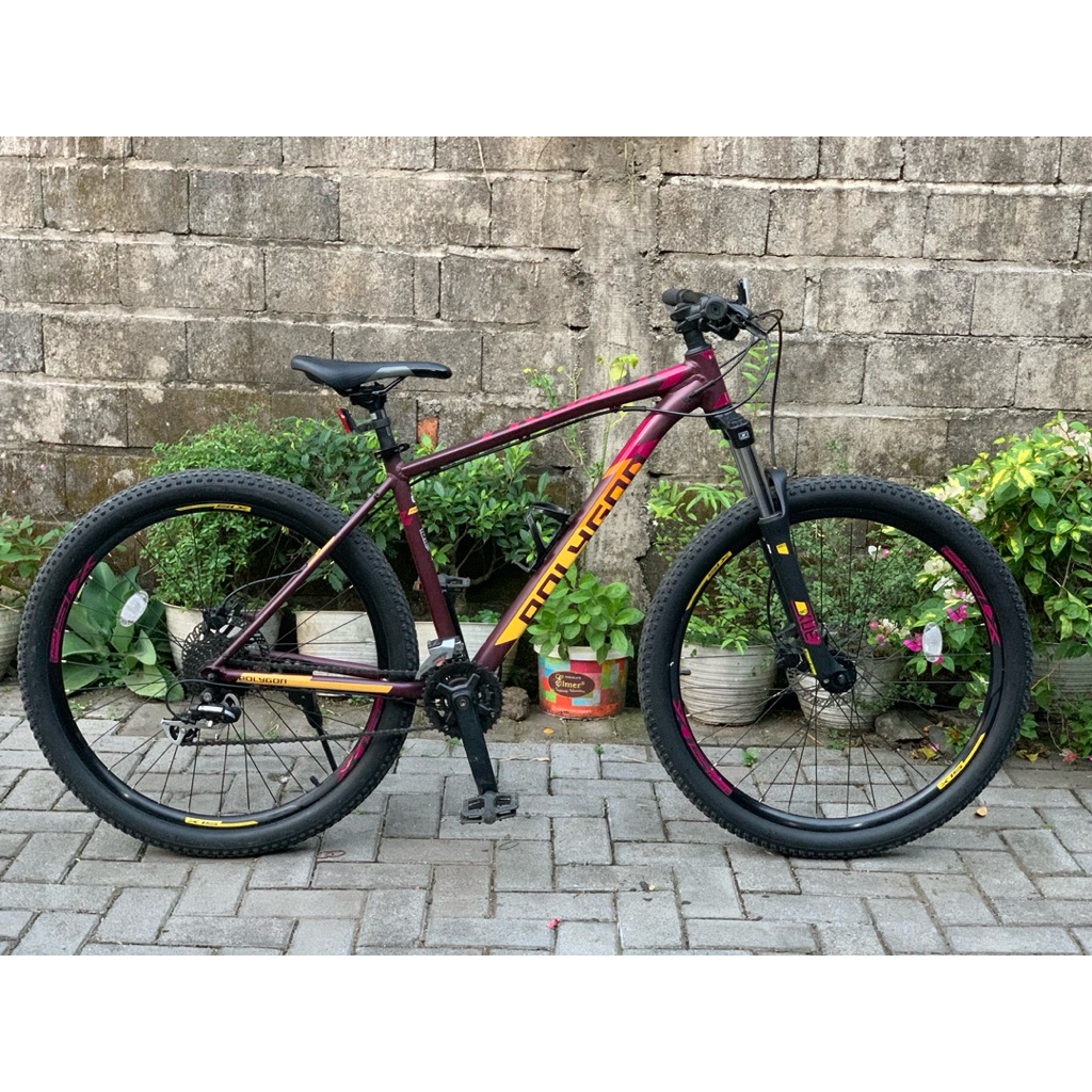 Polygon Premier 4 2021