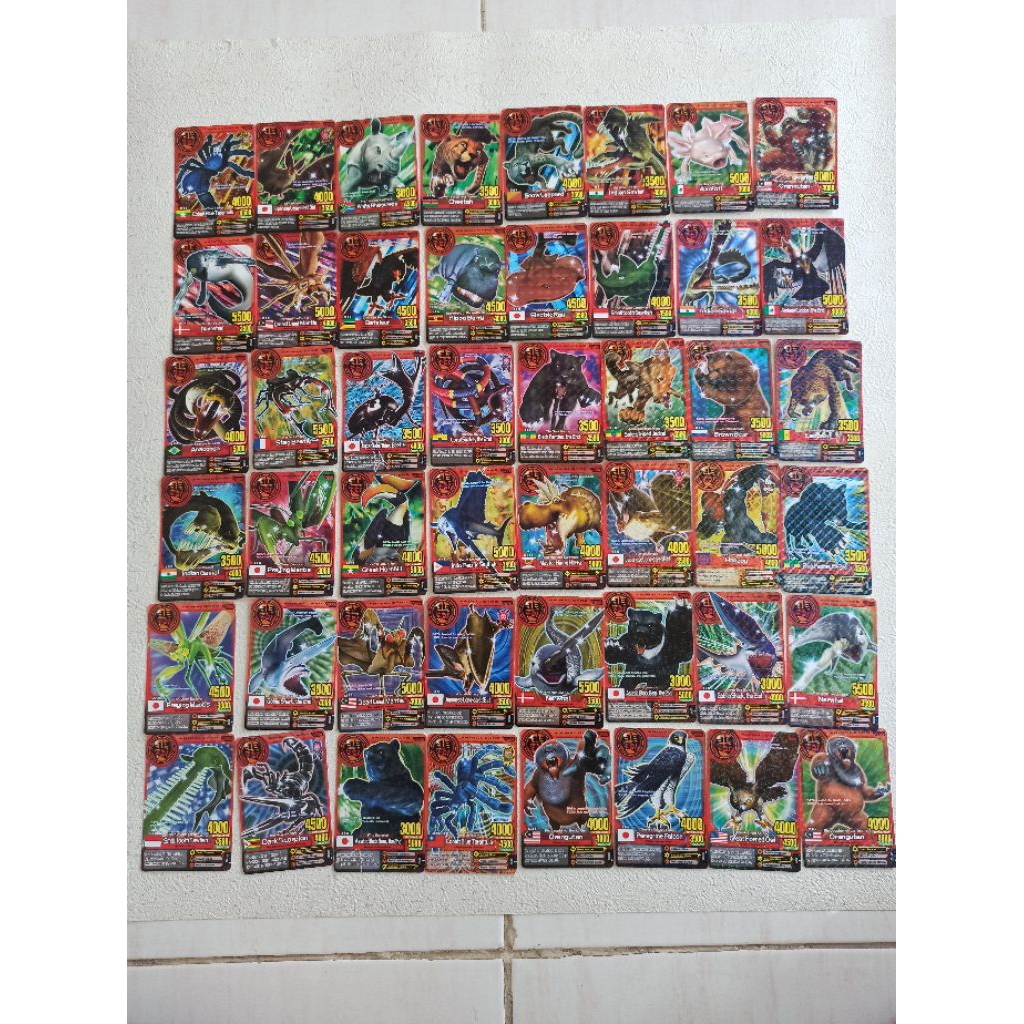 Kartu Animal Kaiser Original