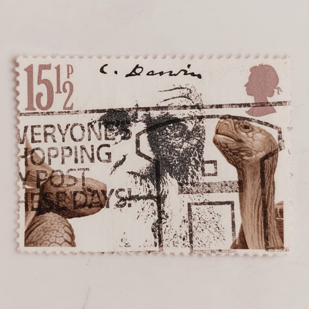 

(AA) Perangko Inggris Britania Raya 1982 Death Centenary of Charles Darwin - Galapagos Tortoise (Chelonoidis nigra), Darwin 15 ½ penny Used