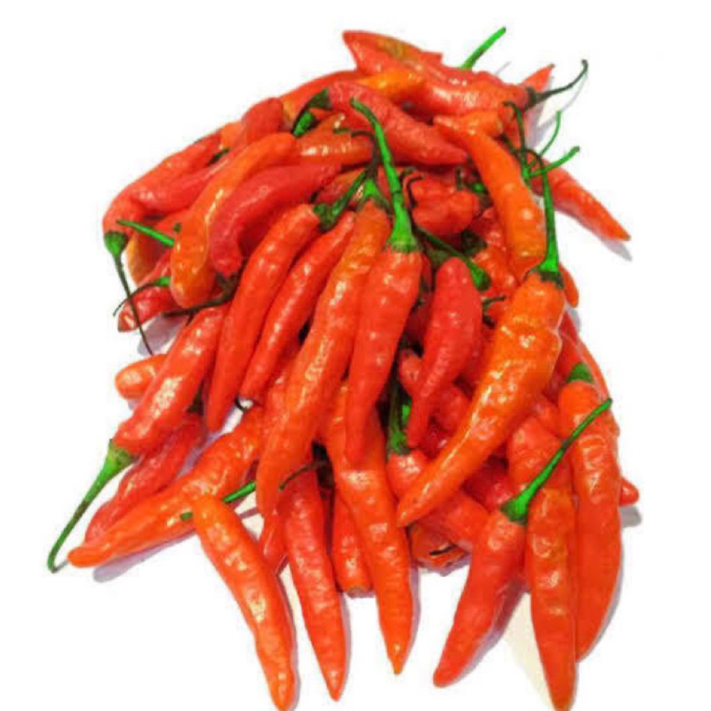 

Cabe Rawit Merah Mantap