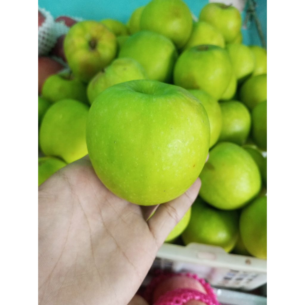 

Buah Apel Granny Smith 1 kg Segar Fresh