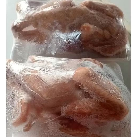 

AYAM KAMPUNG UTUH KURLEB 700 GRAM