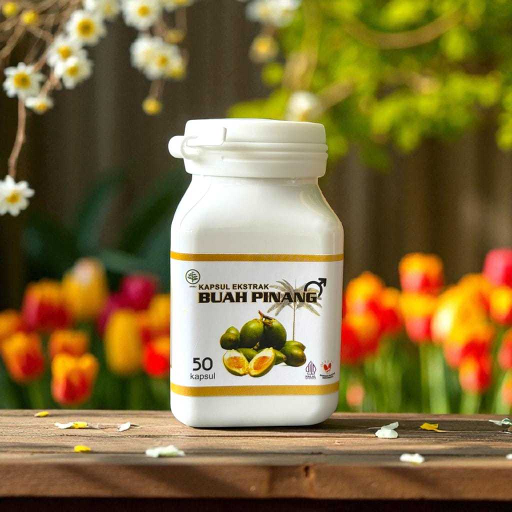 Ekstrak Buah Pinang Muda Isi 50 Kapsul