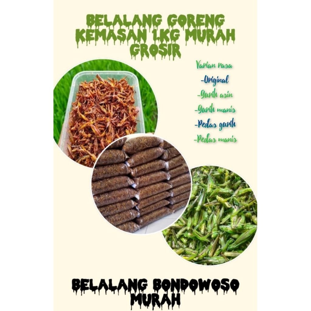

belalang goreng kemasan 1.kg walang kecil belalang sawah utes murah grosir reseller merapat