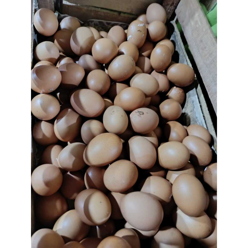 

Telur Ayam Negeri Curah 1Kg
