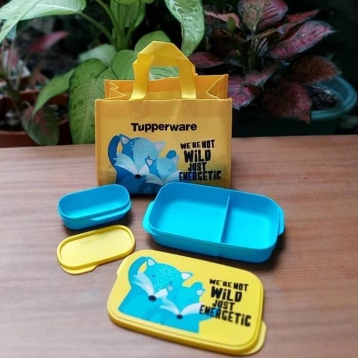 Foodie Buddy Fox Tupperware