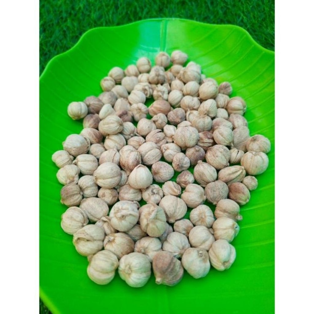 

kapulaga kering alami berat 1 kg kapulaga fresh